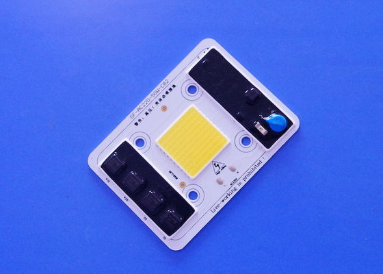 AC220V 50W Driverless High Power COB LED 5000-5500LM White Color Approval
