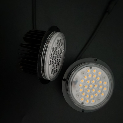 IP66 Bianco caldo 20w 30w LED Lampada da prato Modulo di luce da giardino Lente a 90 gradi