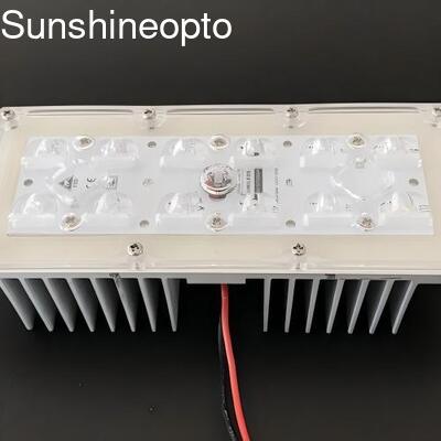 Modulo luminoso a 12 LED 5050 SMD LED con obiettivo con angolo del fascio da 173 mm 145x70 gradi per illuminazione stradale