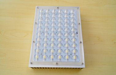 I montaggi all'aperto 1W della luce di 60W LED hanno condotto 140lm - 150lm, impermeabile